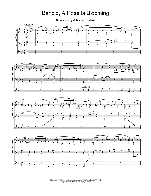 Learn to play Johannes Brahms Behold, A Rose Is Blooming sheet music for Organ in minutes. Johannes Brahms Behold, A Rose Is Blooming sheet music notes and chords. Download Printable PDF.
