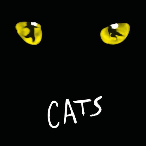 Andrew Lloyd Webber Download Printable PDF Score Easily Download Andrew Lloyd Webber Printable PDF piano music notes, guitar tabs for Piano, Vocal & Guitar (Right-Hand Melody). Transpose or transcribe this score in no time - Learn how to play song progression.