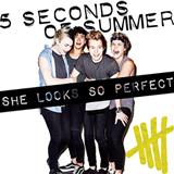 Download or print 5 Seconds of Summer She Looks So Perfect Sheet Music Printable PDF -page score for Pop / arranged Piano, Vocal & Guitar (Right-Hand Melody) SKU: 118355.