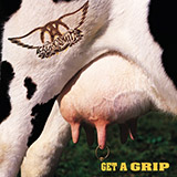 Download or print Aerosmith Get A Grip Sheet Music Printable PDF -page score for Rock / arranged Guitar Tab SKU: 165965.