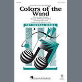 Download or print Mac Huff Colors Of The Wind Sheet Music Printable PDF -page score for Pop / arranged SSA SKU: 180469.