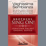 Download or print Albert Donaudy & Stefano Donaudy Vaghissima Sembianza (arr. Samuel Baker) Sheet Music Printable PDF -page score for Concert / arranged TTBB Choir SKU: 410525.