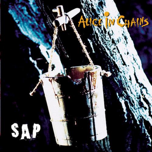 Alice In Chains album picture