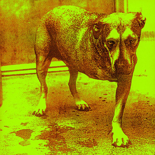 Alice In Chains album picture