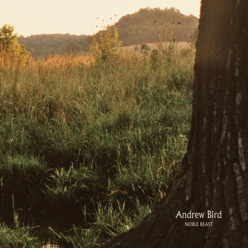 Andrew Bird album picture