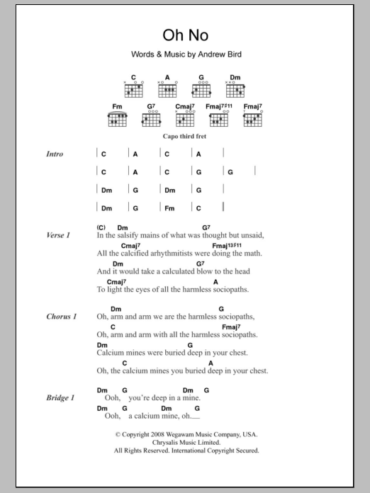 Download Andrew Bird Oh No Sheet Music and learn how to play Lyrics & Chords PDF digital score in minutes