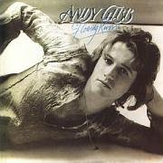 Andy Gibb album picture