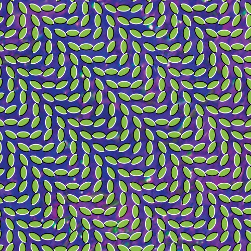 Animal Collective album picture