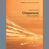 Download or print B. Dardess Chiapanecas (Mexican Clap Dance) - Bass Sheet Music Printable PDF -page score for Folk / arranged Orchestra SKU: 271925.