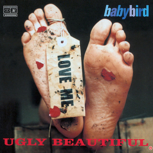 Babybird album picture