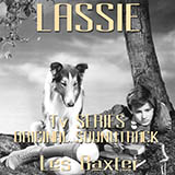 Download or print Basil Poledouris Theme From Lassie Sheet Music Printable PDF -page score for Film and TV / arranged Melody Line, Lyrics & Chords SKU: 173093.