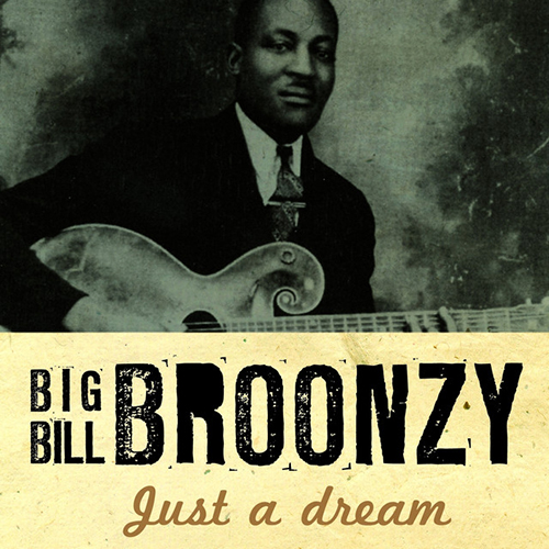 Big Bill Broonzy album picture