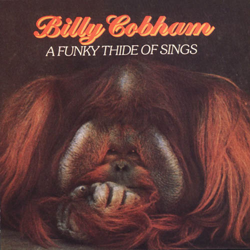 Billy Cobham album picture