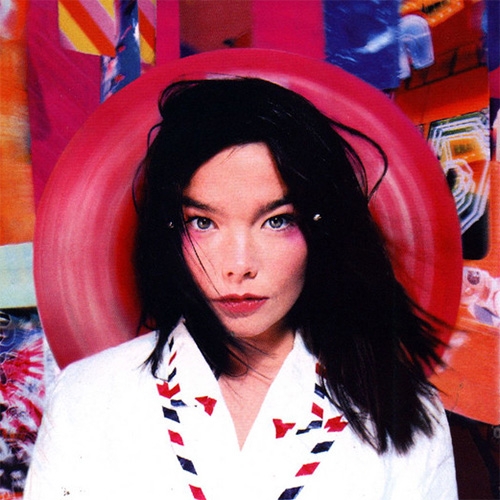 Bjork album picture