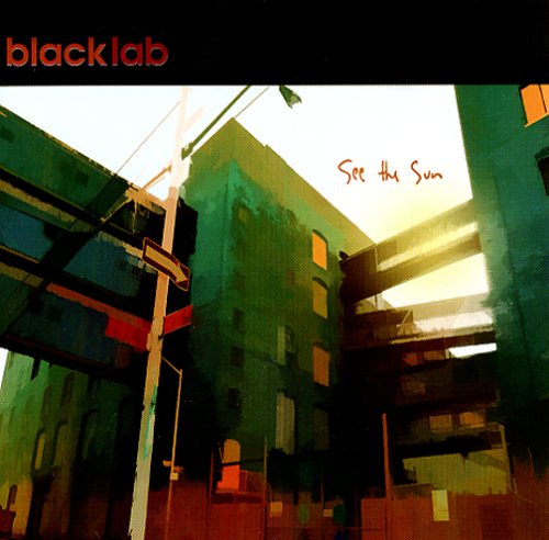 Black Lab album picture