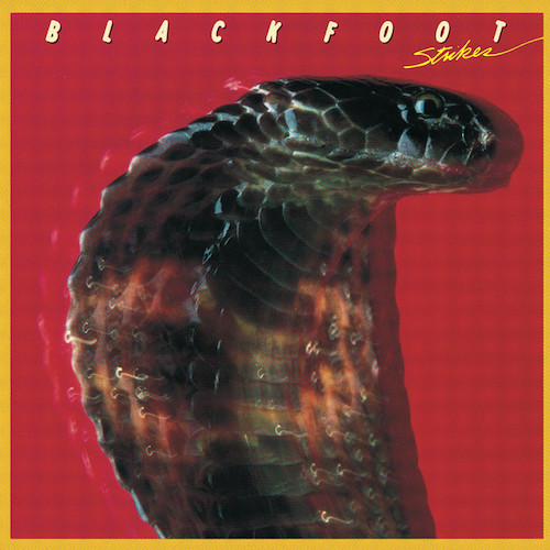 Blackfoot album picture