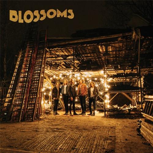 Blossoms album picture