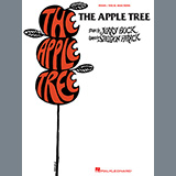 Download or print Bock & Harnick Feelings (from The Apple Tree) Sheet Music Printable PDF -page score for Musical/Show / arranged Piano, Vocal & Guitar (Right-Hand Melody) SKU: 57103.