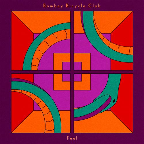 Bombay Bicycle Club album picture