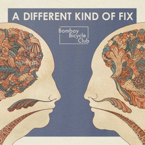 Bombay Bicycle Club album picture