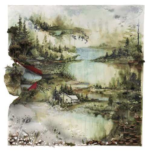 Bon Iver album picture