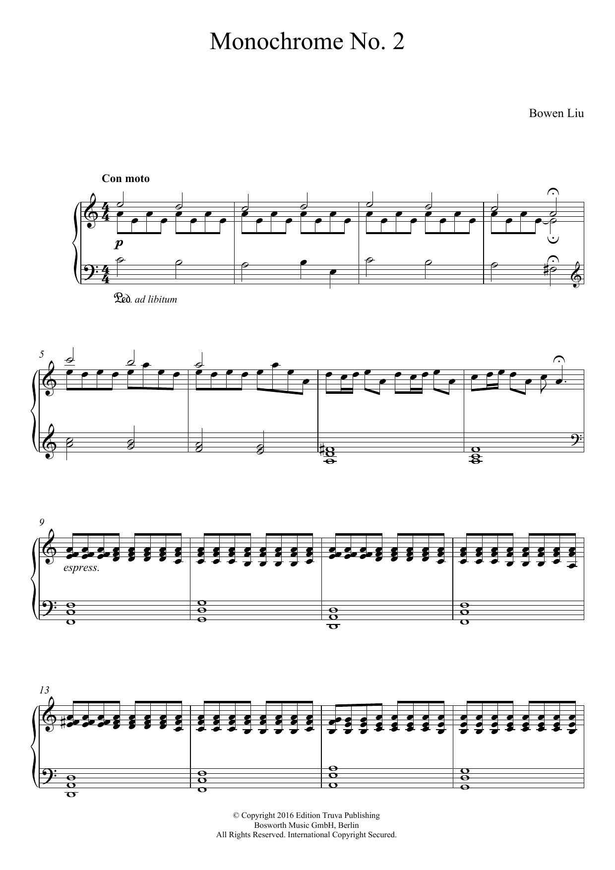 Download Bowen Liu Monochrome No. 2 Sheet Music and learn how to play Piano PDF digital score in minutes