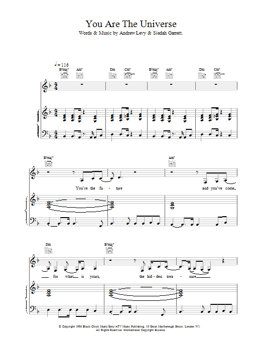 The Brand New Heavies You Are The Universe Sheet Music