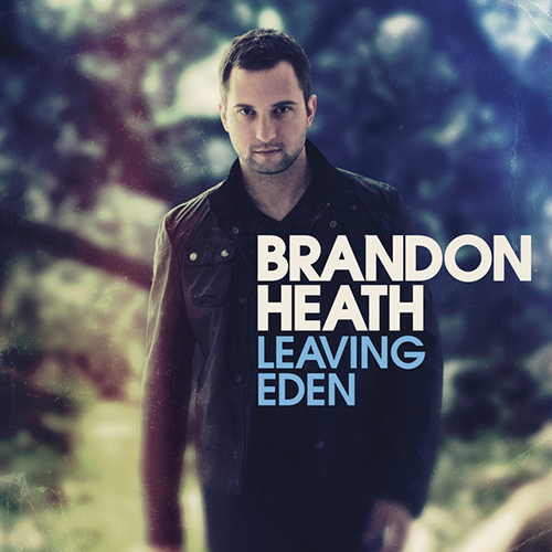 Brandon Heath album picture