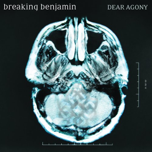 Breaking Benjamin album picture