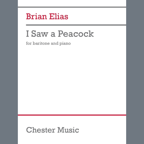 Brian Elias album picture