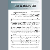 Download or print Brian Tate Drill, Ye Tarriers, Drill Sheet Music Printable PDF -page score for Concert / arranged TTBB Choir SKU: 451193.