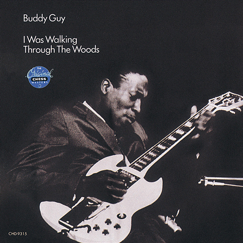 Buddy Guy album picture