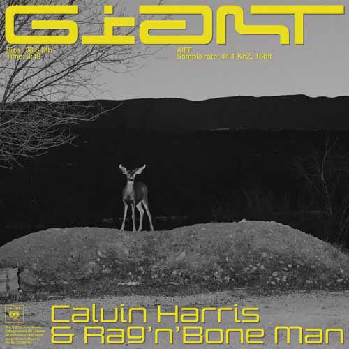 Calvin Harris & Rag 'n' Bone Man album picture