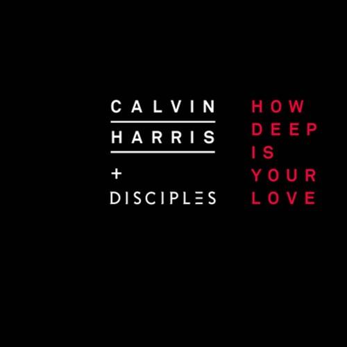 Calvin Harris and Disciples album picture