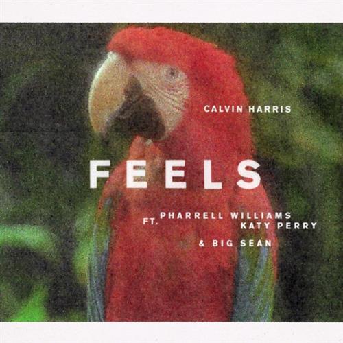 Calvin Harris album picture