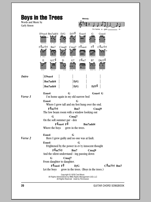 Download Carly Simon Boys In The Trees Sheet Music and learn how to play Lyrics & Chords PDF digital score in minutes