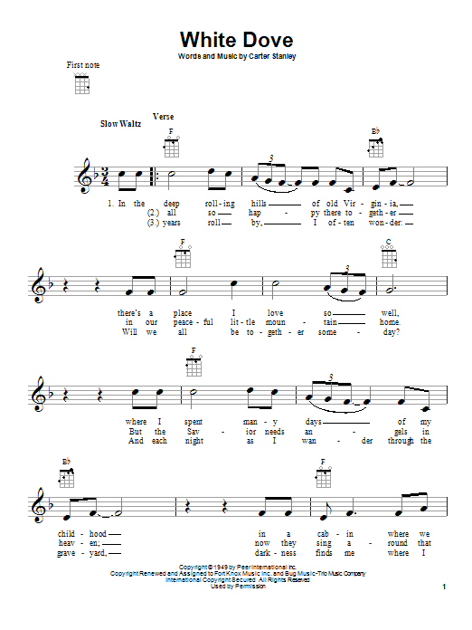 Download Carter Stanley White Dove Sheet Music and learn how to play Real Book – Melody, Lyrics & Chords PDF digital score in minutes