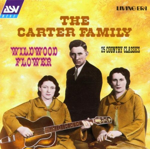 Carter Style Guitar album picture