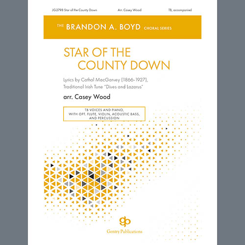 Casey Wood album picture