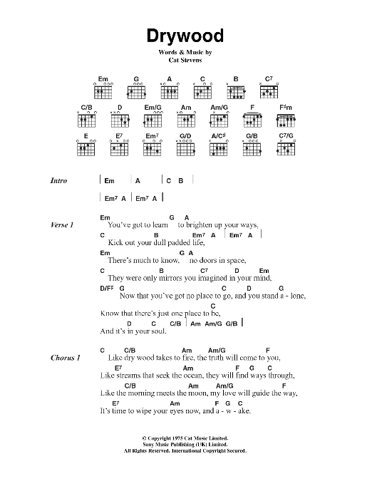Download Cat Stevens Drywood Sheet Music and learn how to play Lyrics & Chords PDF digital score in minutes