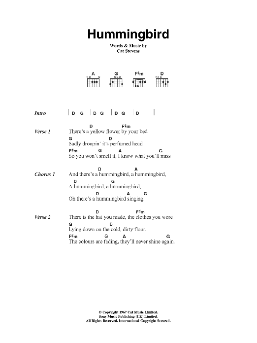 Download Cat Stevens Hummingbird Sheet Music and learn how to play Lyrics & Chords PDF digital score in minutes