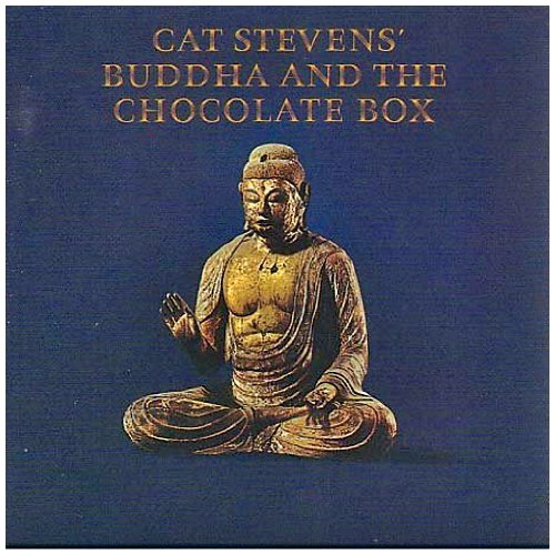 Cat Stevens album picture