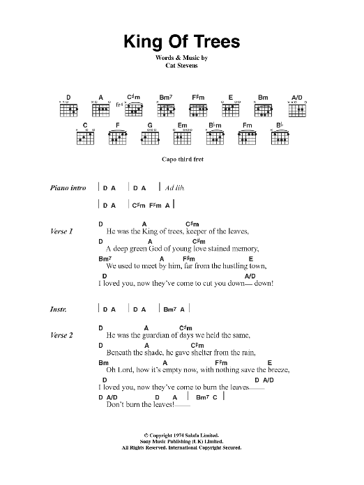 Download Cat Stevens King Of Trees Sheet Music and learn how to play Lyrics & Chords PDF digital score in minutes