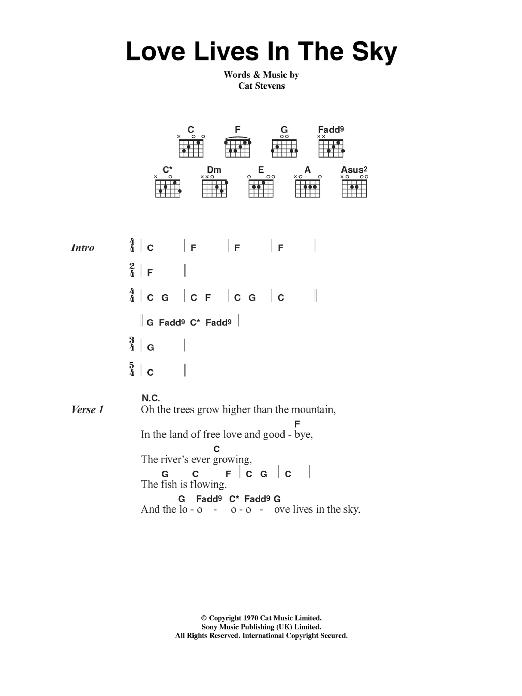 Download Cat Stevens Love Lives In The Sky Sheet Music and learn how to play Lyrics & Chords PDF digital score in minutes