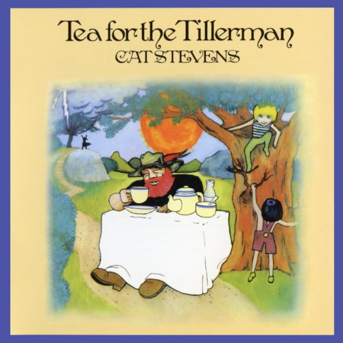 Cat Stevens album picture