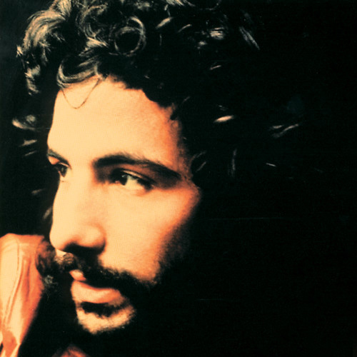 Cat Stevens album picture