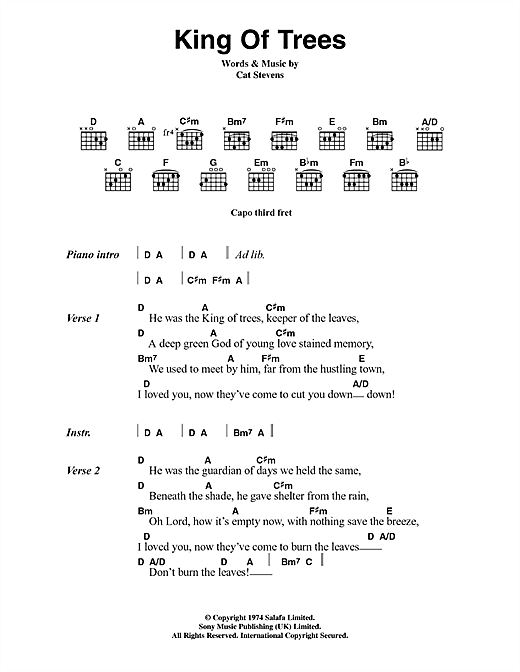 Download Cat Stevens King Of Trees Sheet Music and learn how to play Lyrics & Chords PDF digital score in minutes