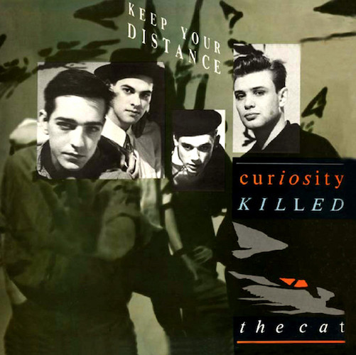 Curiosity Killed The Cat album picture