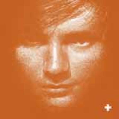 Ed Sheeran Give Me Love sheet music 409989