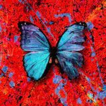 Ed Sheeran Visiting Hours sheet music 517107